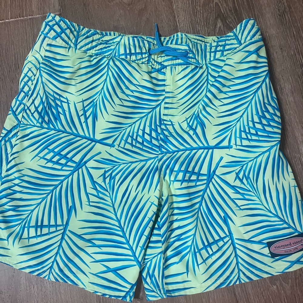 Vineyard, vine, boys, chappy, swim, trunks, and green and blue palm print